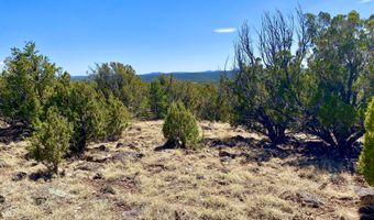 74 County Road 8056, Concho, AZ 85924