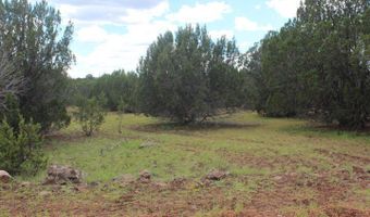 29 Co Rd 3199, Vernon, AZ 85940