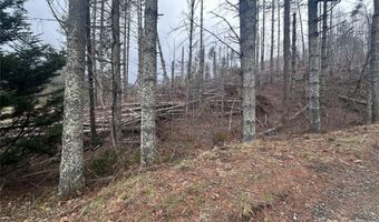 99999 Big Rock Creek Dr, Bakersville, NC 28705