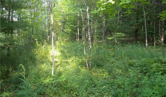 1454 Crane Ln, Woodhull, NY 14801