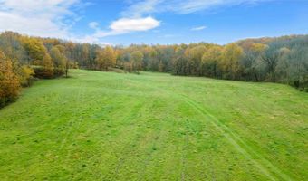 0 County Road 259, Advance, MO 63730