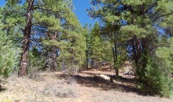 1430 W Elk Ridge Dr, Alton, UT 84710