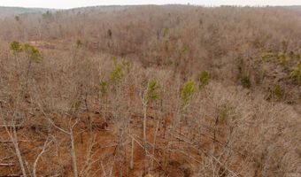 County Road 19-A, Alton, MO 65606