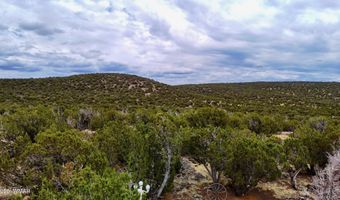 37 Co Rd N8174 10.1 Acres, Concho, AZ 85924