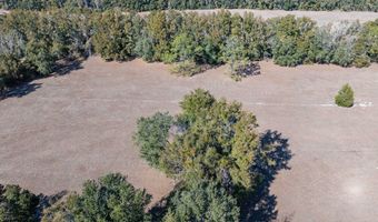 County Road 236 lot 4, Bell, FL 32619