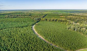 3275 HADDEN POND Rd, Avera, GA 30803