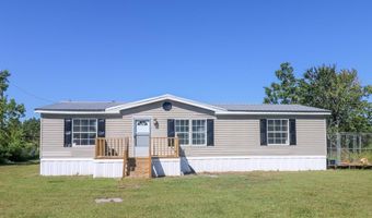 113 Briteblue, Alma, GA 31510