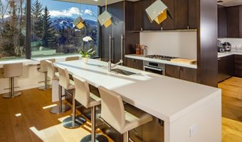 979 Red Mountain Rd, Aspen, CO 81611