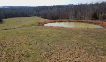 County Road 529, Ava, MO 65608
