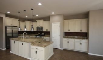 4123 S BUCKSKIN Way, Chandler, AZ 85249