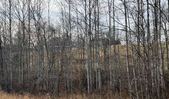 1383 HogBack Rd, Albany, KY 42602