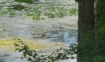 8300 Arapaho Trl SE, Alto, MI 49302