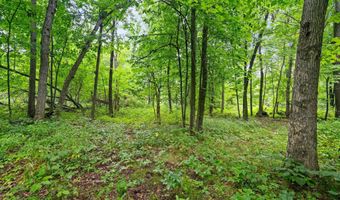 Lt3 County Road N, Arkansaw, WI 54721