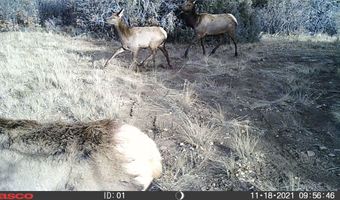 Tbd Elk Drive, Chama, NM 87520
