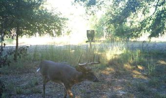 7901 Ashleigh Rd, Blackville, SC 29817