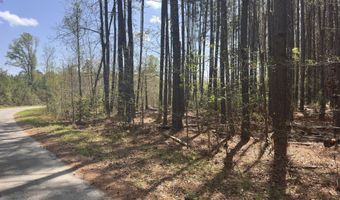 Tract 5 Smith Lane, Bowman, SC 29018