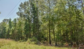 5 N Hall Rd, Antlers, OK 74523
