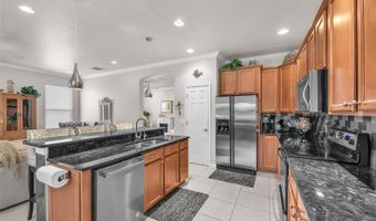 321 SILVER FALLS Dr, Apollo Beach, FL 33572