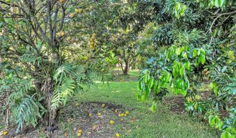 347 NOHEA St, Hilo, HI 96720