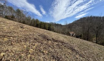 1135 Ned Clark Rd, Bean Station, TN 37708