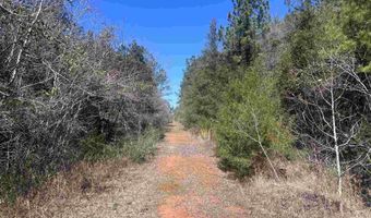 10 Robinsonville Rd, Atmore, AL 36502