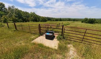 N County Road 113, Alton, MO 65606