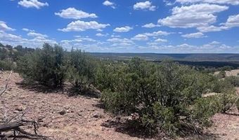41 Indian Drive CR 8062, Concho, AZ 85924