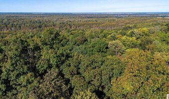 County Road 1320 lot Between County Roads 1324, Bardwell, KY 42023