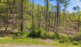 White Pine Lane 19, Bakersville, NC 28705