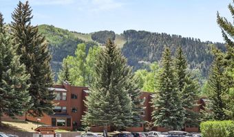 941 Vine St, Aspen, CO 81611