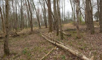 19601 DARNESTOWN Rd, Beallsville, MD 20839