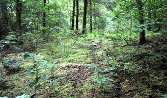 000 AVE 5 SW St, Atkins, AR 72823