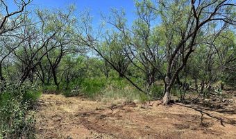 12415 County Road 356, Anson, TX 79501