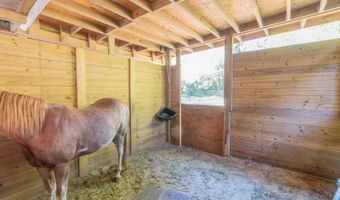 560 N LAKE PLEASANT Rd, Apopka, FL 32712