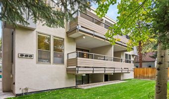 980 E Hyman Ave 3, Aspen, CO 81611