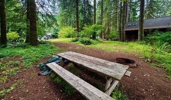 9965 BEACH Dr, Birkenfeld, OR 97016