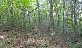 1454 Crane Ln, Woodhull, NY 14801