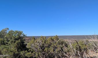 77 CR N8604, Concho, AZ 85924