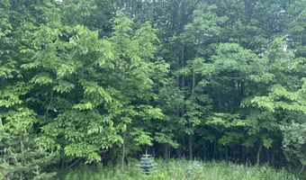 Mallard Drive, Alger, MI 48610