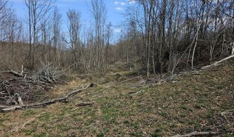 295 Shellstone Rd, Amsterdam, NY 12010