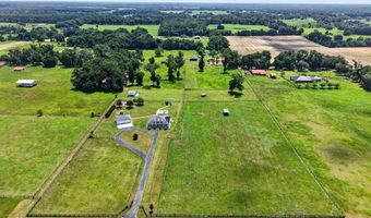 2556 NE 120TH St, Anthony, FL 32617