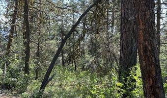 Sandpiper Ln, Beatty, OR 97621