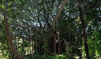 420 Haumana Rd, Haiku, HI 96708