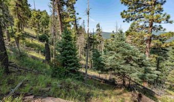 Vail Loop lot 400, Angel Fire, NM 87710