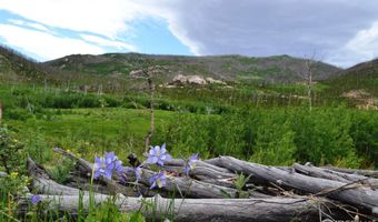1256 Basking Dog Rd, Bellvue, CO 80512