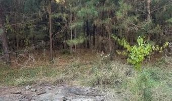 421041 E 1945 Ln, Antlers, OK 74523