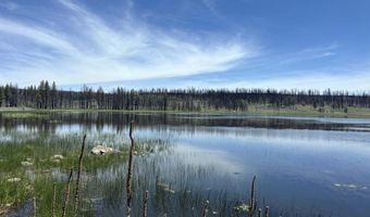 Off Hicks Road Lot 3, Bly, OR 97622