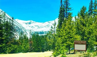 211 GOLDFINCH Pl, Alma, CO 80420