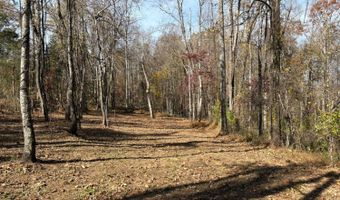 9- F Dulwich Dr, Amherst, VA 24521