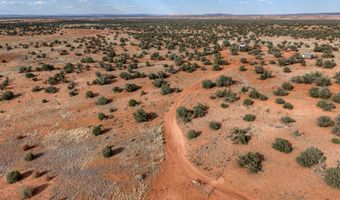 76 County Road N5552, Concho, AZ 85924